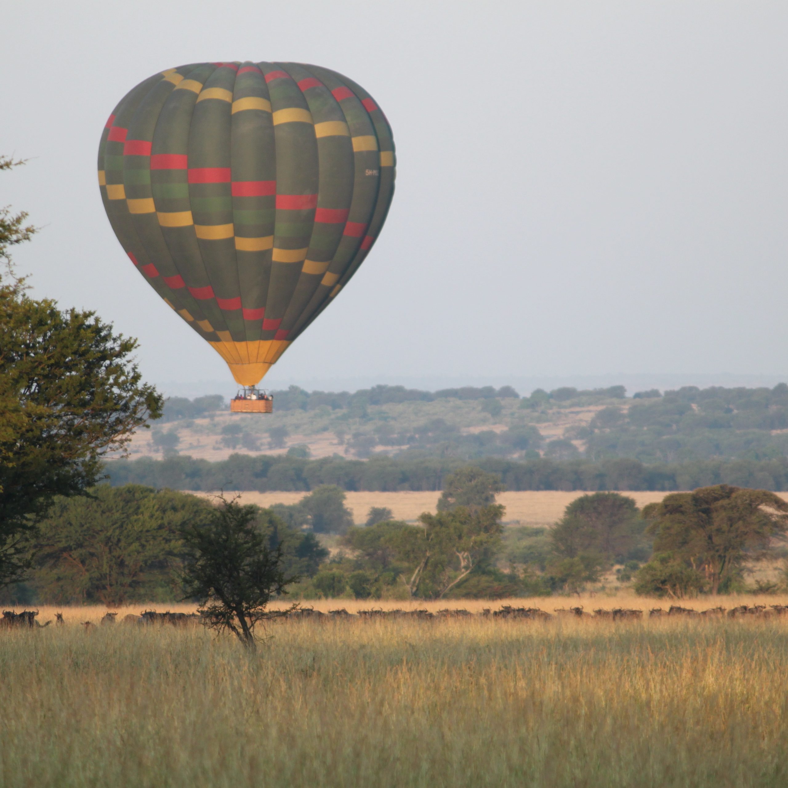  Day 4 Serengeti National Park Baloon Safari and Game Drive