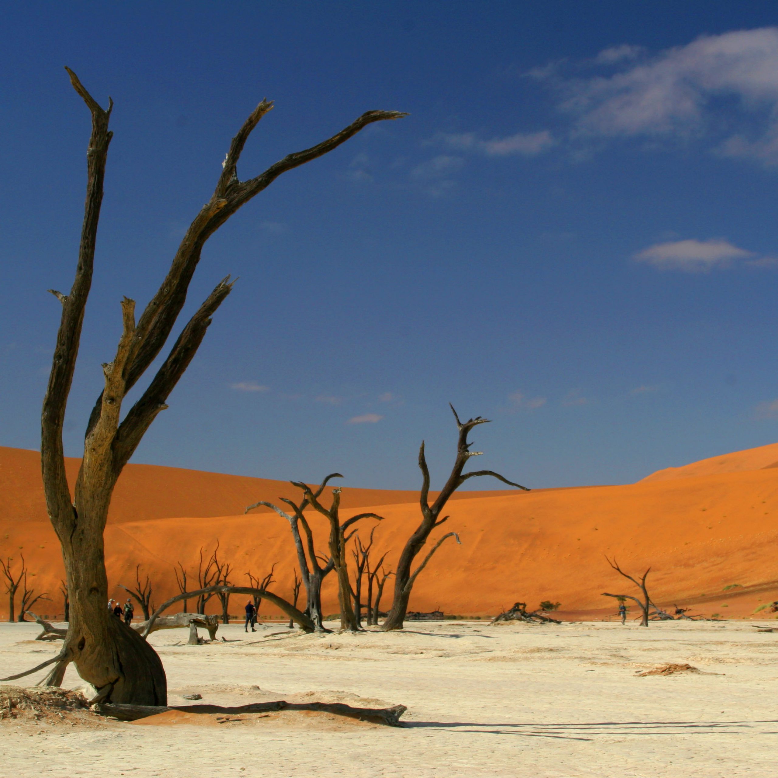 Days 1 & 2 - Sossusvlei Dunes - Namib Desert