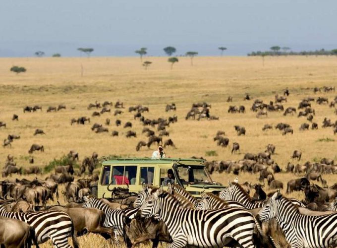Find and Book Tours, Activities & Things to do in Africa